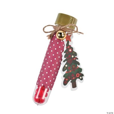 Christmas Test Tube Treat Craft Kit