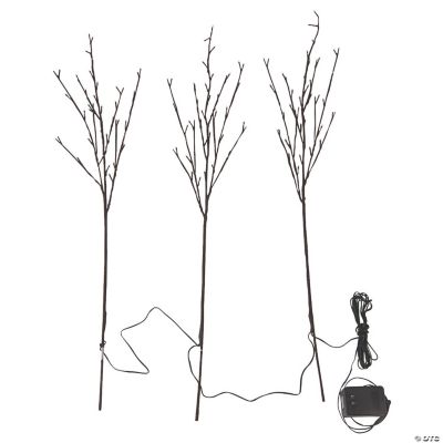 Brown Lighted Branch