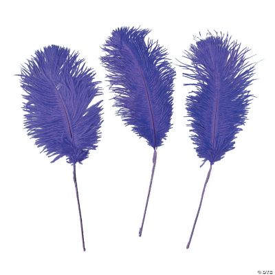 Purple Ostrich Feathers