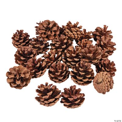 Cinnamon-Scented Pinecones