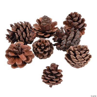 Small Pinecones