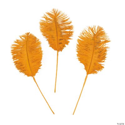 Orange Ostrich Feathers