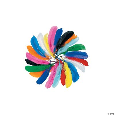 Feather Assortment