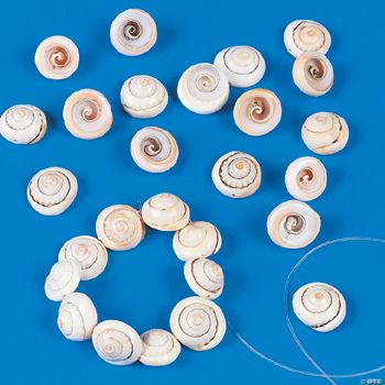Seashell Bracelet Craft Kit