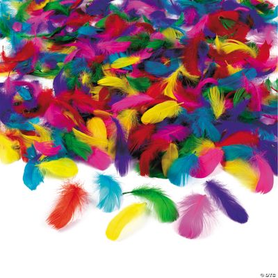 Bulk Feather Assortment