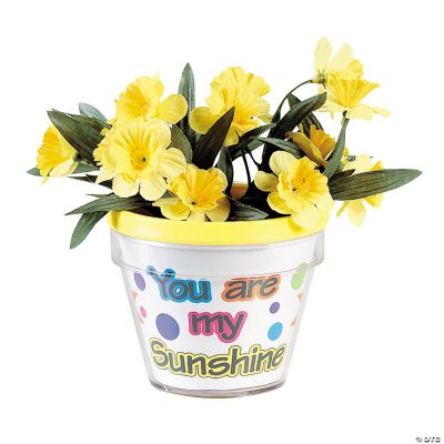 Color Your Own Sunshine Flowerpots