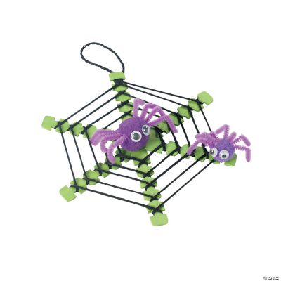 Spiderweb With Spiders Craft Kit