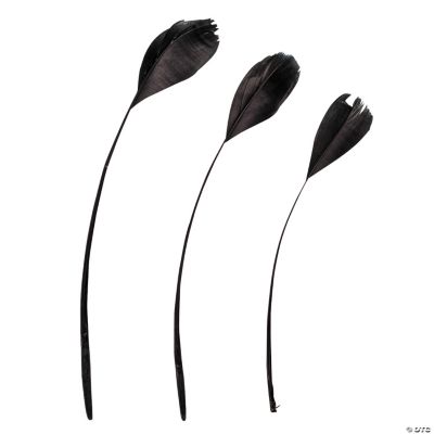 Black Diamond Feathers