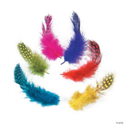 Guinea Plumage Feathers