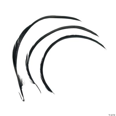Black Biot Feathers