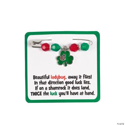 Ladybug Shamrock Pin Craft Kit