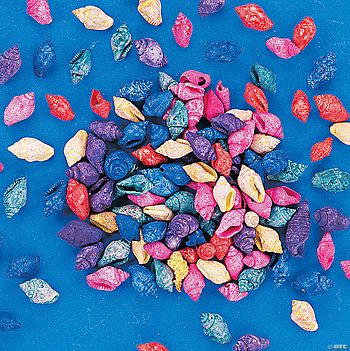 Mini Natural Dyed Seashells