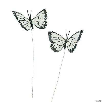 White Feather Butterflies