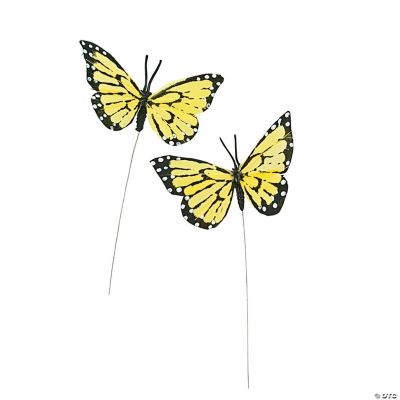 Yellow Feather Butterflies