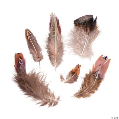 Natural Turkey Feathers
