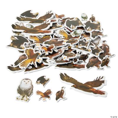 Self-Adhesive Realistic Wild Bird Shapes