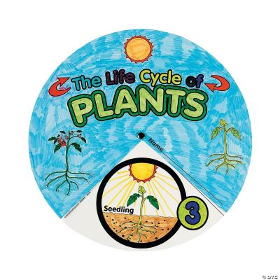12 Color Your Own! Plant Life Cycle Wheel