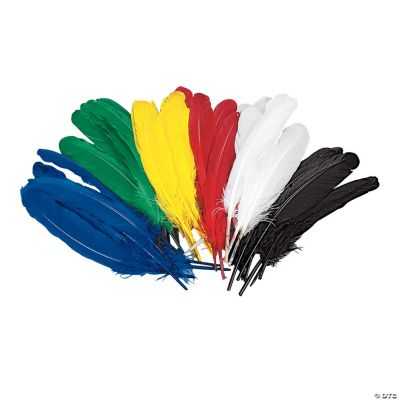 50 Jumbo Duck Quills
