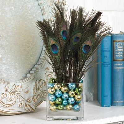 Pretty Peacock Feathers