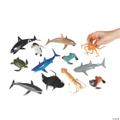 12 Sensational Sea Life Animals