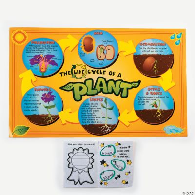 Plant Observation Kit