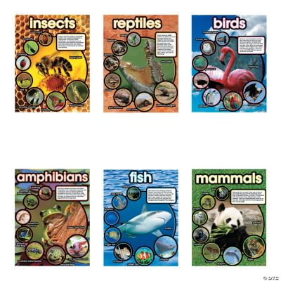 Exploring Animals Learning Charts