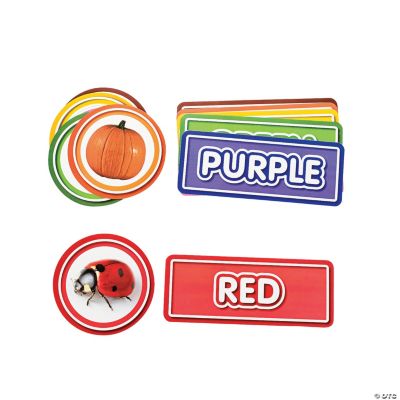 20 Color Identification Headliners