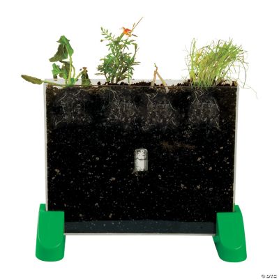 Watch It Grow Plant Viewer