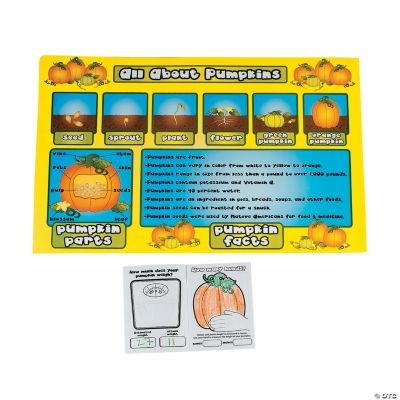 13 pc. Pumpkin Observation Kit