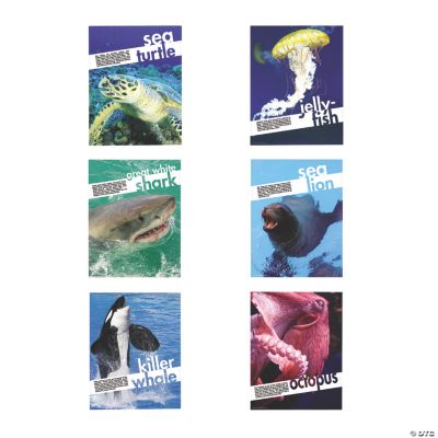 6 Sea Creatures Posters