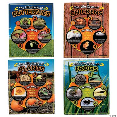 4 Pc. Life Cycles Learning Chart Set