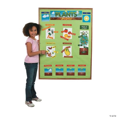 60 Pc. Plant Life Cycle Mini Bulletin Board Set