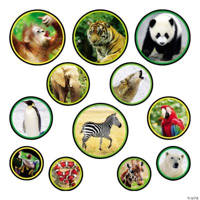 12 Wildlife Bulletin Board Cutouts