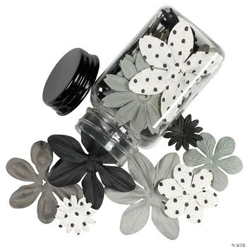 60 Monochromatic Black & White Flowers