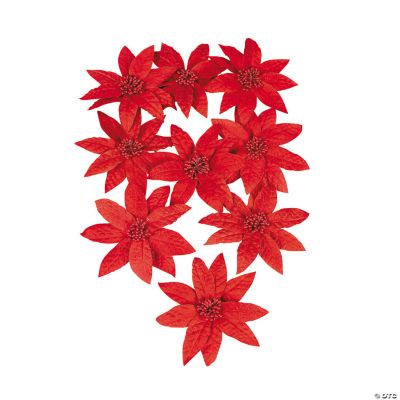 12 Poinsettia Flowers