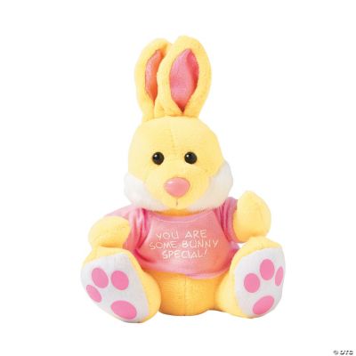 Plush Bunny With Personalized T-Shirt