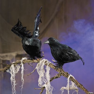Feathered Crows