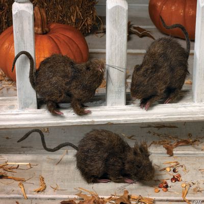 Realistic Hairy Rats
