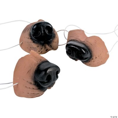 12 Dog Noses