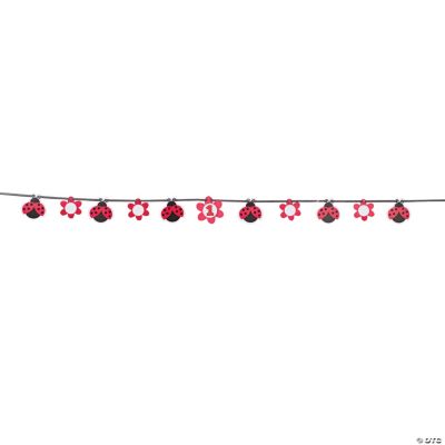 Ladybug Fancy Banner