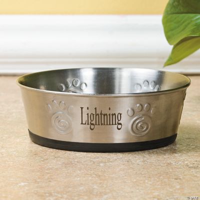 Small Pet Bowl