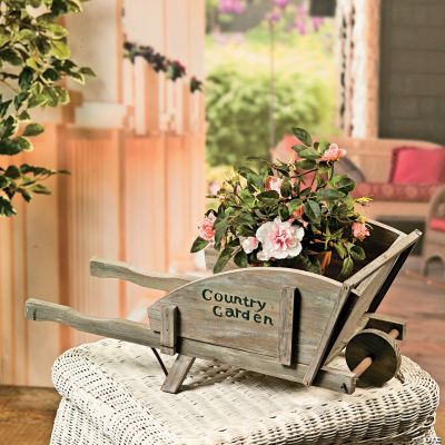 “Country Garden” Wheelbarrow