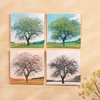 Changing Seasons Wall Décor