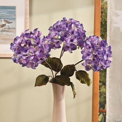 Hydrangea Stems