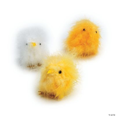 Fluffy Chicks