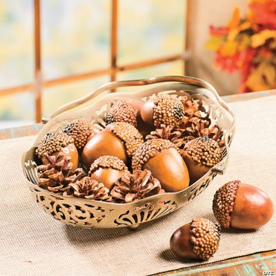 Pinecones & Acorns