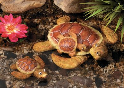 Floating Tortoises