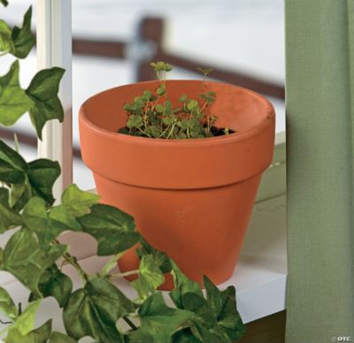 Shamrock Planting Kit