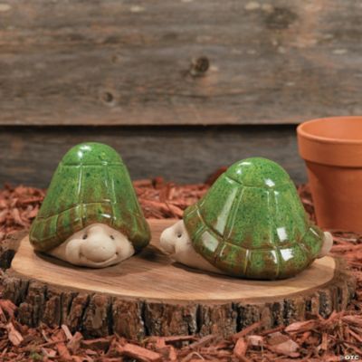 Tortoises
