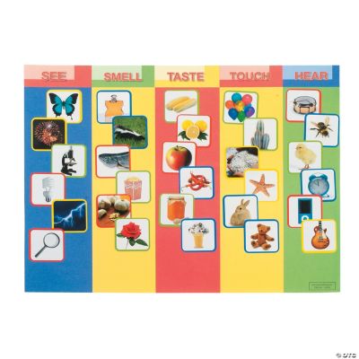 Five Fun Senses Make-A-Sticker Scenes